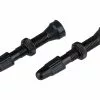 Wtb Valve Tubeless TCS Presta En Laiton