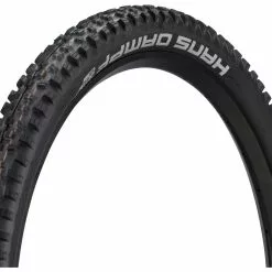 Schwalbe Pneu Souple Hans Dampf Evolution ADDIX Soft Super Gravity 29"