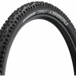 Schwalbe Pneu Souple Nobby Nic Performance ADDIX RaceGuard DD 26"