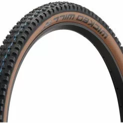Schwalbe Pneu Souple Wicked Will Evolution ADDIX SpeedGrip Super Race 29"