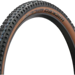 Schwalbe Pneu Souple Wicked Will Evolution ADDIX SpeedGrip Super Ground 29"